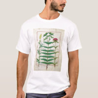 Reseda, Euphorbia en Dianthus