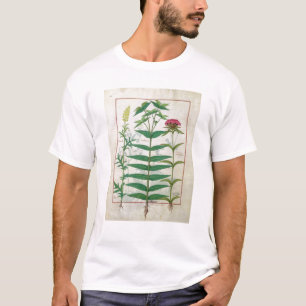 Reseda, Euphorbia en Dianthus T-shirt