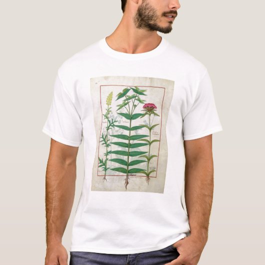 Reseda, Euphorbia en Dianthus T-shirt (Voorkant)