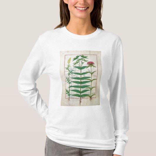 Reseda, Euphorbia en Dianthus T-shirt (Voorkant)