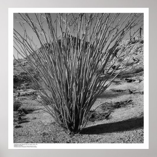 Reservatie van natuurlijke geschiedenis poster (Voorkant)