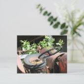 reserveband in de stoel van een schottentrekker briefkaart (Staand voorkant)