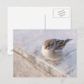 Reservel - Overgewicht Briefkaart (Voorkant / Achterkant)