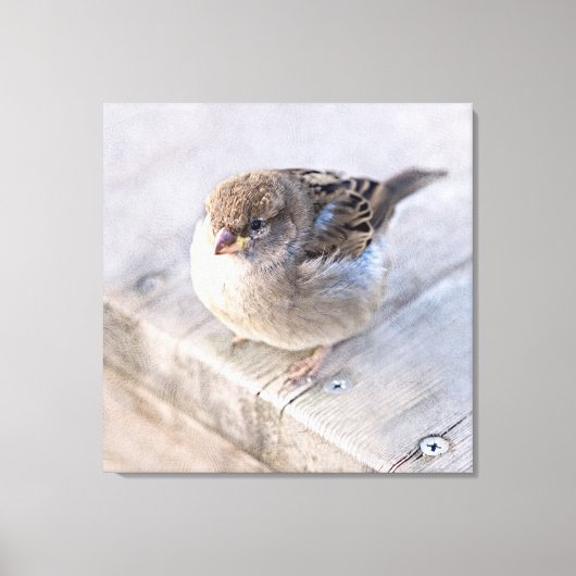 Reservel - Overgewicht Canvas Afdruk (Voorkant)