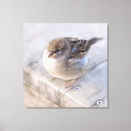 Reservel - Overgewicht Canvas Afdruk