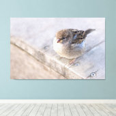 Reservel - Overgewicht Canvas Afdruk (Insitu (Houten vloer))