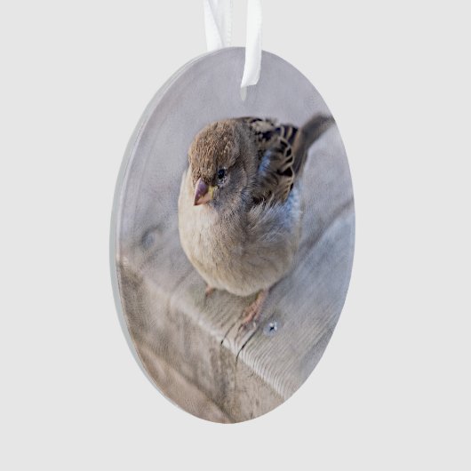 Reservel - Overgewicht Ornament (voorkant)