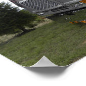 Reserves Freightliner Cabover Poster (Hoek)