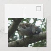 Reserveserver sluiten DIY-Briefkaart Briefkaart (Voorkant / Achterkant)