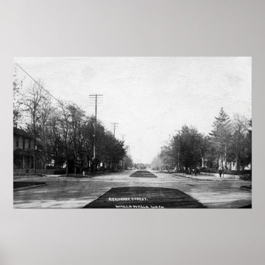 Residence Street Scene Poster (Voorkant)