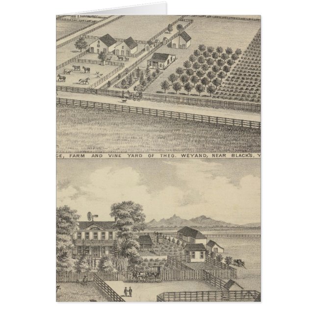 Residences, Black's Station (Voorkant)