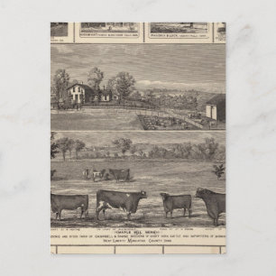 Residences, boerderij, bedrijven in W Liberty, Ack Briefkaart