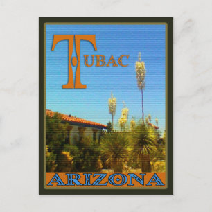 Residental Cactus Scene, Tubac, Arizona briefkaart