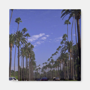 Residential Rodeo Drive, Beverly Hills, Californi Magneet