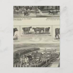 Residenties and Stock Boerderij, Wichita, Kansas Briefkaart