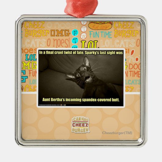 Resky's laatste zicht metalen ornament (Voorkant)