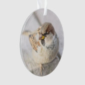 Resollen - na de transatlantische betrekkingen ornament (voorkant)