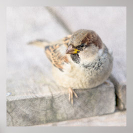 Resollen - na de transatlantische betrekkingen poster