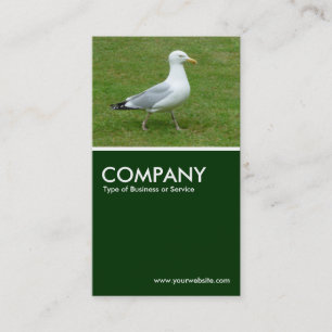 Resolute Seagull - Donkergroen Visitekaartje