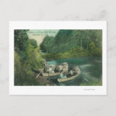 Resorters Boating bij Springs Briefkaart (Voorkant)