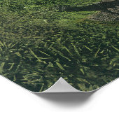 Resorters Boating bij Springs Poster (Hoek)