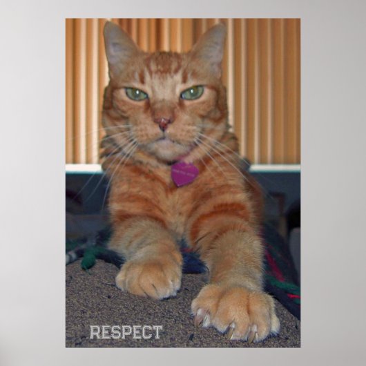 Respect Baz Cat Poster (Voorkant)