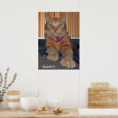 Respect Baz Cat Poster (Keuken)