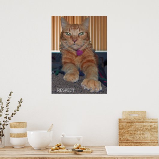 Respect Baz Cat Poster (Keuken)