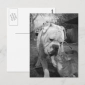 respect briefkaart (Voorkant / Achterkant)