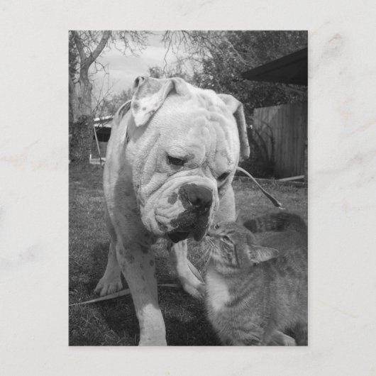 respect briefkaart (Voorkant)