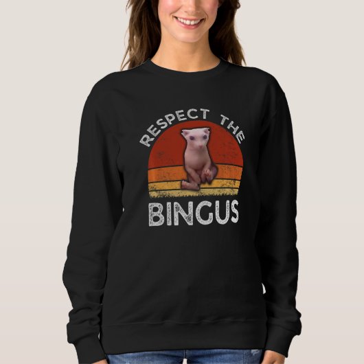 Respecteer de Bingus haarloze Sphynx kat Trui (Voorkant)