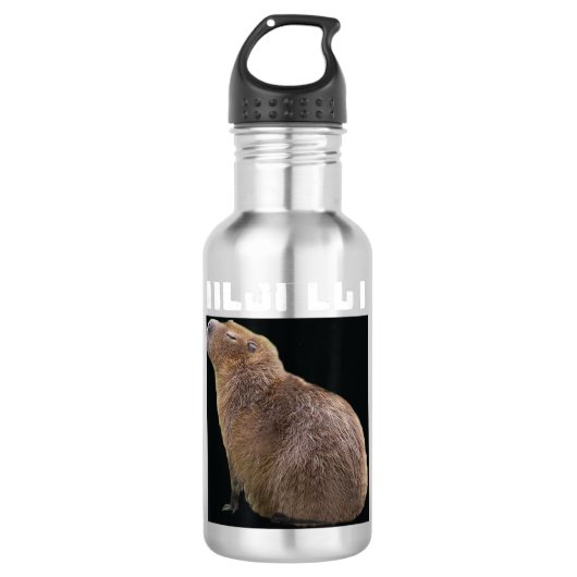 Respecteer de Capybara Funny Rodent Capibara Foto Waterfles (Voorkant)