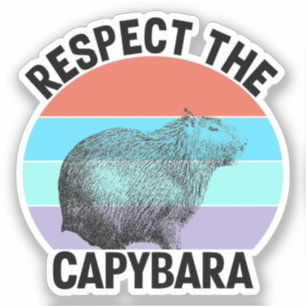 Respecteer de capybara grappige knaagdier capybara sticker