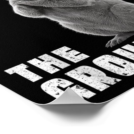 Respecteer de Groundhog Day Respecteer de Groundho Poster (Hoek)