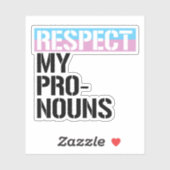 Respecteer Mijn Voornaamwoorden Sticker (Vel)