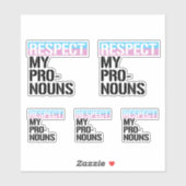 Respecteer Mijn Voornaamwoorden Sticker (Vel)