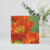 respectvolle rode papaver kaart (Staand voorkant)