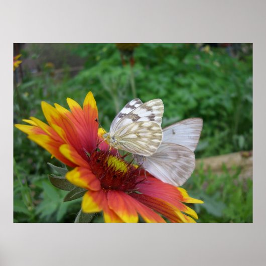 Respijltjes (4) Poster (Voorkant)