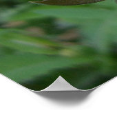 Respijltjes (4) Poster (Hoek)