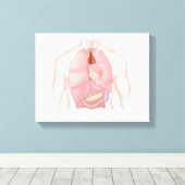 Respiratoir en spijsverteringsstelsel bij de mens canvas afdruk (Insitu (Houten vloer))