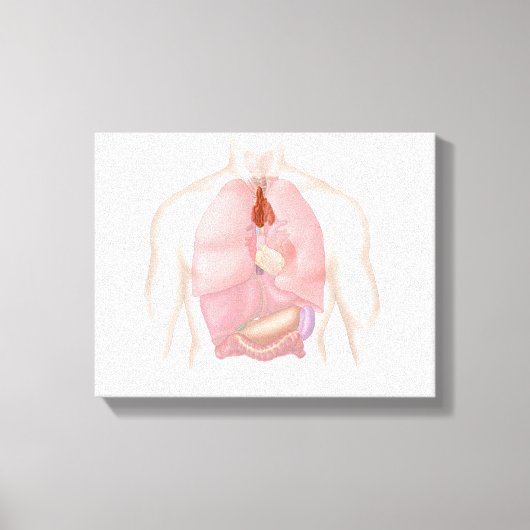 Respiratoir en spijsverteringsstelsel bij de mens canvas afdruk (Voorkant)