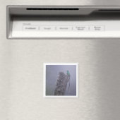 Resplendent Quetzal 2x2 magneet (Insitu (Vaatwasser))