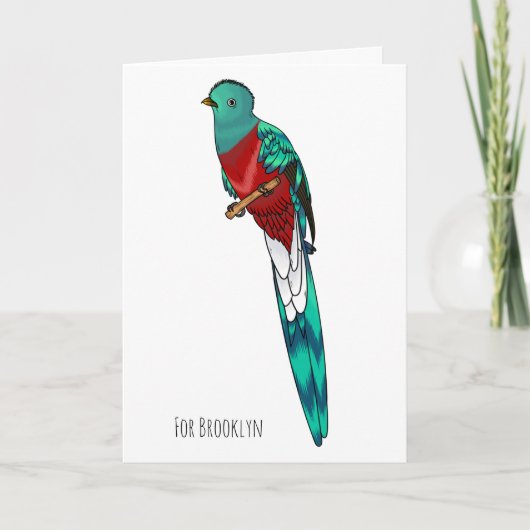 Resplendent quetzal bird cartoon illustration kaart (Voorkant)