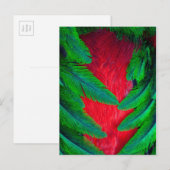 Resplendent Quetzal-vederontwerp Briefkaart (Voorkant / Achterkant)