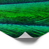 Resplendent Quetzal-vederontwerp Poster (Hoek)