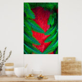 Resplendent Quetzal-vederontwerp Poster (Keuken)
