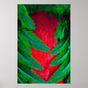 Resplendent Quetzal-vederontwerp Poster