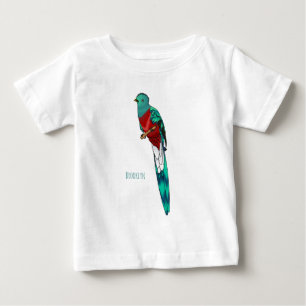 Resplendent quetzal-vogel cartoon illustratie