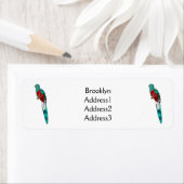 Resplendent quetzal-vogel cartoon illustratie etiket (Insitu)