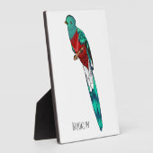 Resplendent quetzal-vogel cartoon illustratie fotoplaat (Zijkant)